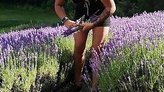 AMAZING ASS,AND PUSSY FLASHED BY BEAUTYFULL MILF ON PUBLIC LAVENDER PLANTATION
