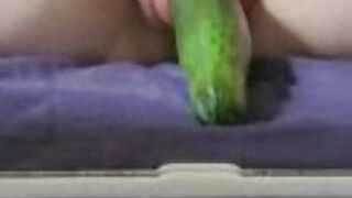 Cucumber pumped up pussy